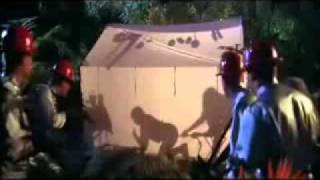 Funny short videos- can you afford it？ -？