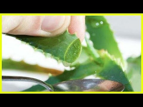 Video: Aloe Vera Für Diabetes: Forschung, Vor- Und Nachteile Und Mehr