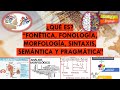 ¿Qué es? Fonética, Fonología, Morfología, Sintaxis, Semántica, Pragmática. Temas sobre lenguaje.