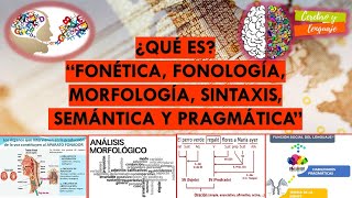 ¿Qué es? Fonética, Fonología, Morfología, Sintaxis, Semántica, Pragmática. Temas sobre lenguaje.