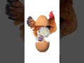 🐔 Chicken Laying Eggs 🥚 | Funny Farm Moments | #Chicken #EggLaying #FarmAnimals