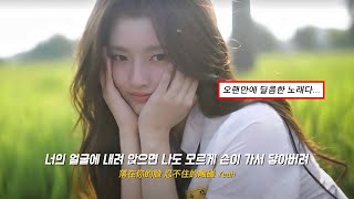 너만 보여🤍 : 邹沛沛&Pank-沉溺 (你让我的心不再结冰) 빠져들어 (넌 내 마음이 더 이상 얼어붙지 않게 해) (Ver. 서약함徐若晗)