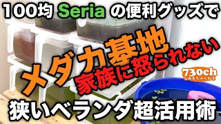 【家族に怒られないメダカ基地】稚魚の飼育もスッキリ！マンションのベランダでメダカのマンション２０２０【100均Seriaスタッキングボックス】
