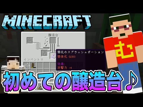 村人ゾンビを治療せよ！ストレイ発見！！【マイクラ実況 Part119】#むらクラ