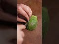 Avocado asmr