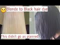 Blonde to Black Hair Dye with Arctic Fox Transylvania!