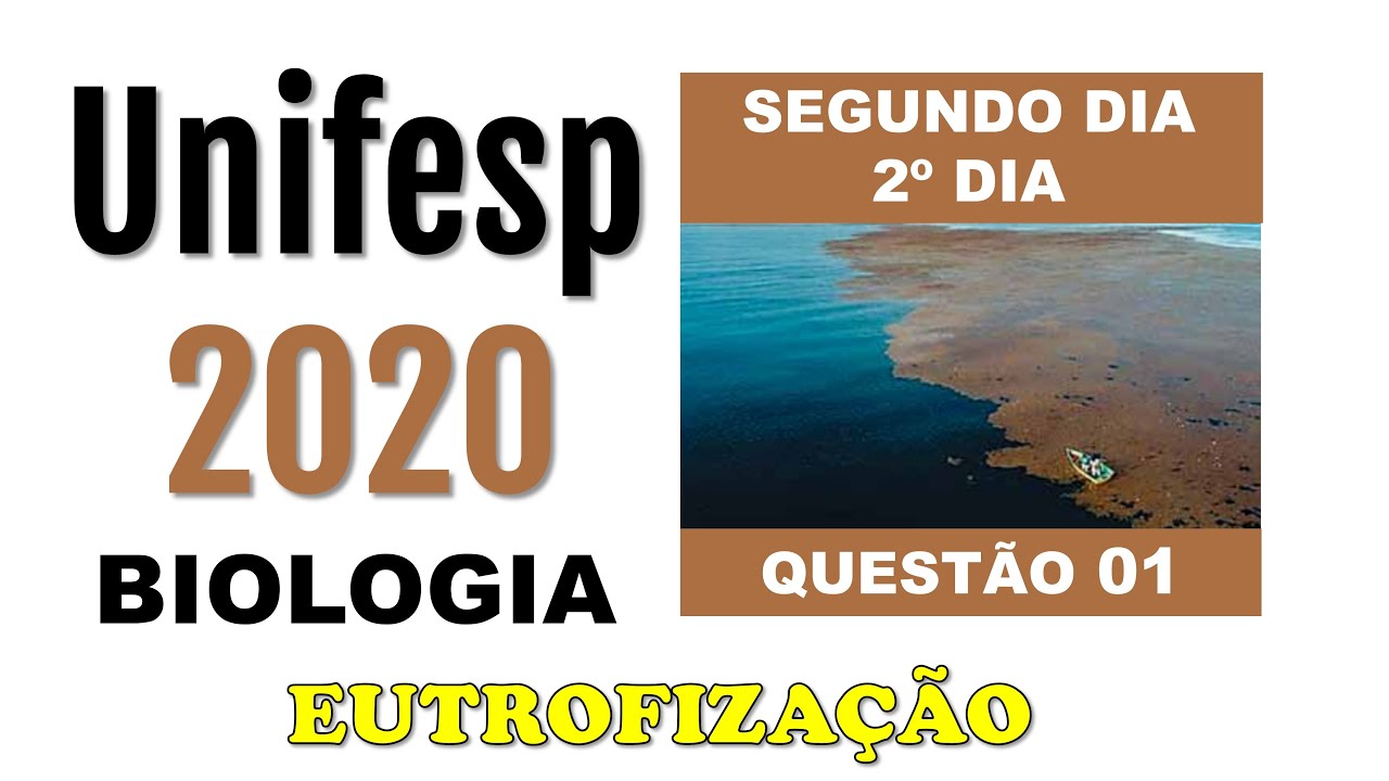 (UNIFESP 2020) As águas cristalinas do Caribe foram manchadas por uma invasão de sargaço