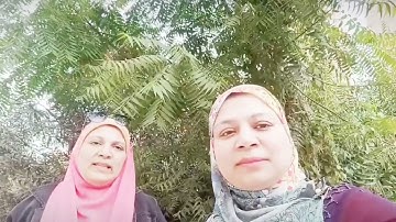 سورة البقرة الآيه رقم ٧١ (فوائد قرءانيه)نحويه بلاغيه قراءات وقف وابتداء والمتشابهات والمعني