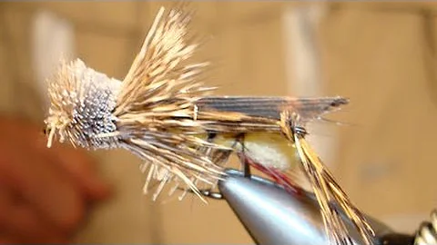 Jay Buchner ties "Jay Dave's Hopper"