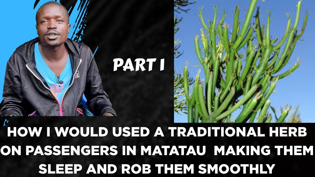 HOW I USED TRADITIONAL HERBS ON PASSENGERS IN MATATAU  MAKING THEM SLEEP AND ROB THEM SMOOTHLY