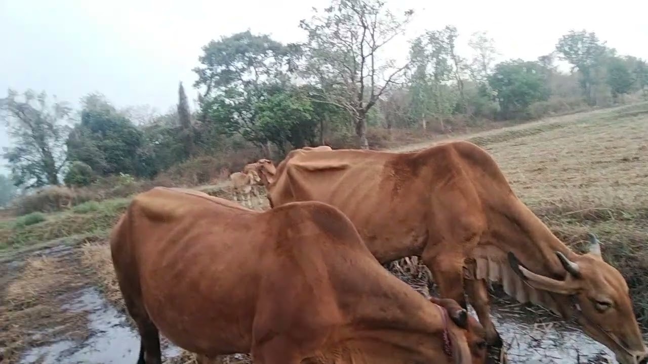 27 กุมภาพันธ์ ค.ศ. 2026