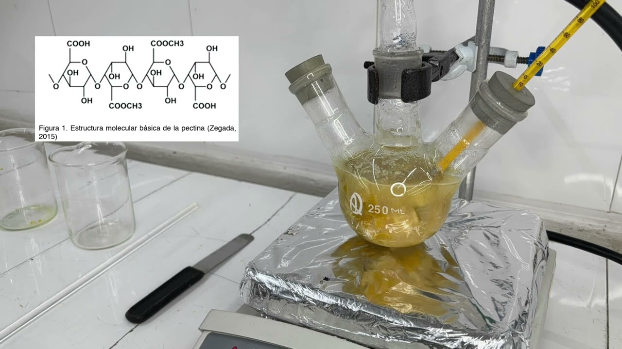 Obtención de Pectina cítrica a partir de cáscara de naranja