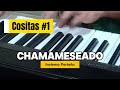 Invierno Porteño versión chamamé 🪗 | Cositas #1