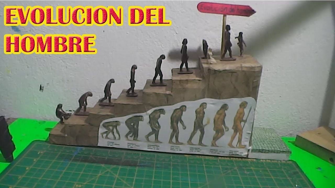 EVOLUCIÓN DEL HOMBRE MAQUETA - YouTube