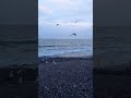 О море, море... #одесса #море #морезимой #морезовёт #одессамама #одессаукраина #одессасегодня