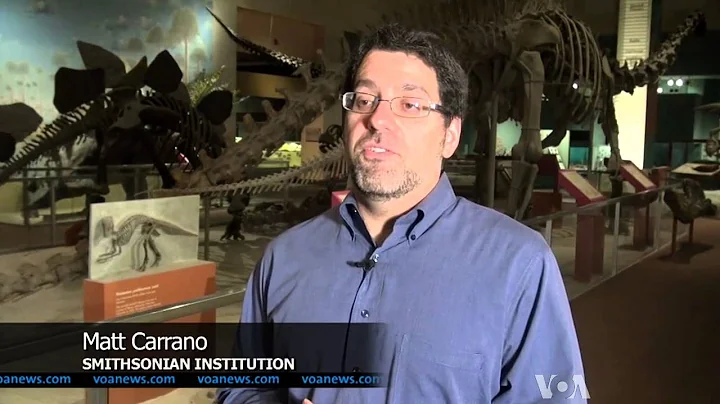Amateur Dinosaur Tracker Uncovers Some of World's ...