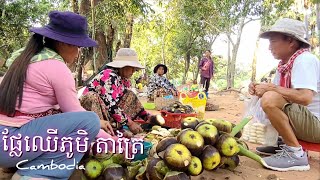 165. ផ្លែឈើ ភូមិតាត្រៃ Life in the Countryside Siem Reap Cambodia