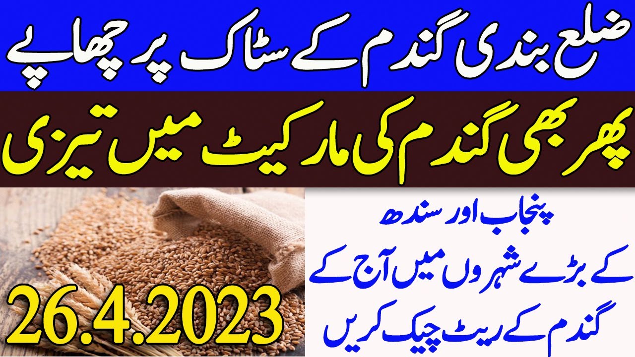 Today wheat rate in Punjab Sindh Pakistan 2023 - YouTube