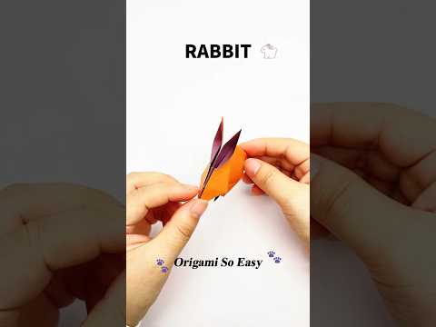 Origami Bunny Process