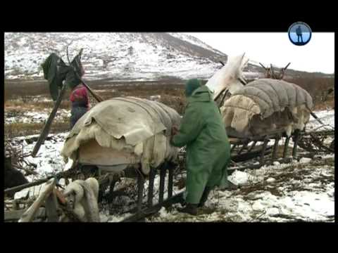 Коми. Путовање кроз Арктик