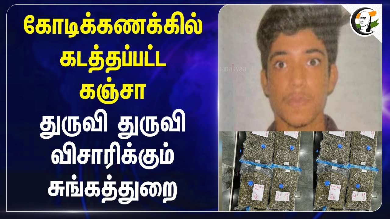 கோடிக்கணக்கில் கடத்தப்பட்ட கஞ்சா... துருவி துருவி விசாரிக்கும் சுங்கத்துறை... | Drugs | Coimbatore