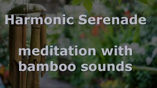 Harmonic Serenade | 15-minute meditation with bamboo sounds and soft rain