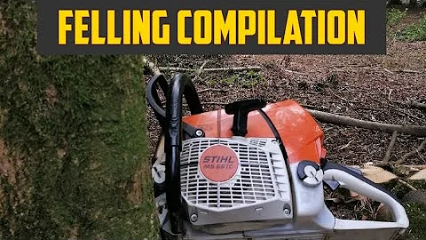 Tree Felling Compilation #chainsawman