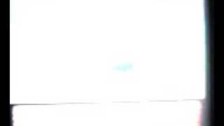 Pokemon Diamond Gabite Evolves Into A Garchomp