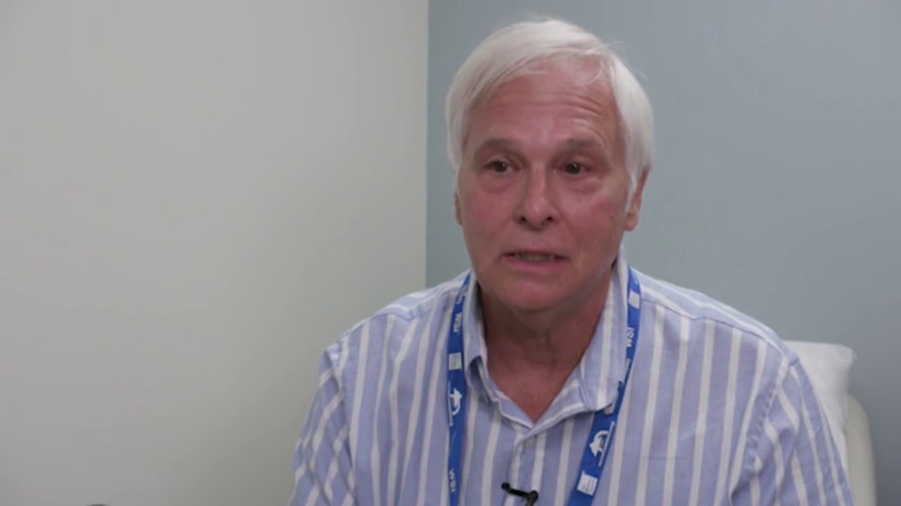 [PANDEMIC 2020: VACCINE APPROVALS] (2020) Who will get a covid19 vaccine and when will it be out?