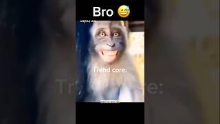 Try Not to Laugh Challenge Core 10