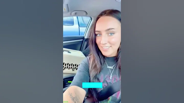 Watch the video about Funniest Cat 🐈‍⬛ #animals 😅 #mewmew Episode 1256