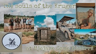 The Souls Of The Kruger Mjejane Game Reserve