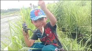 Mancing Udang, Hasilnya Lumayan..