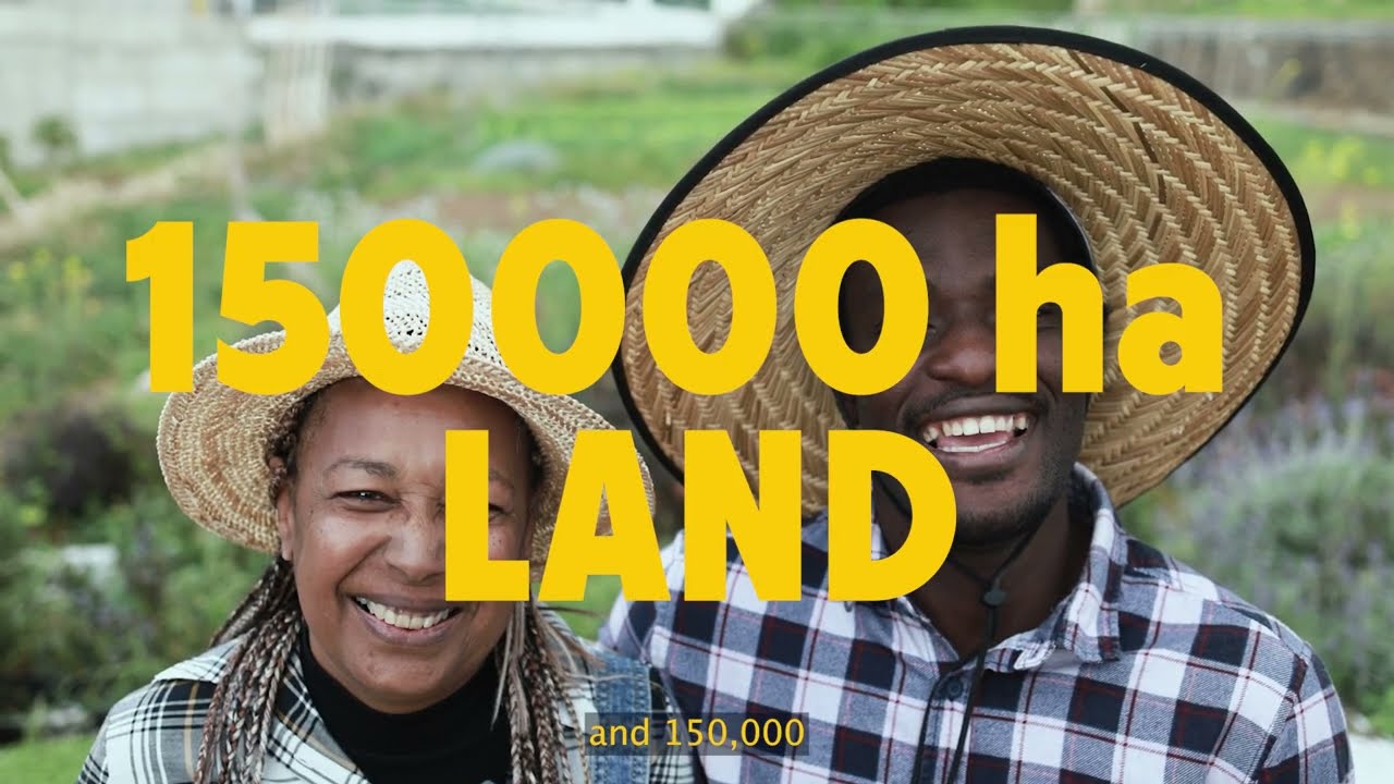 The Environmental Impact of Insect Farming