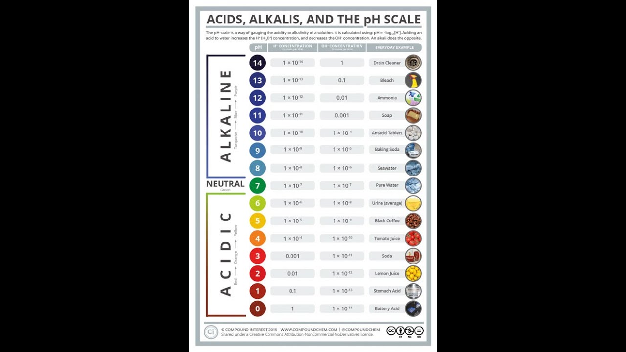 Synthetic Indicator Chart Natural and synthetic indicators - YouTube