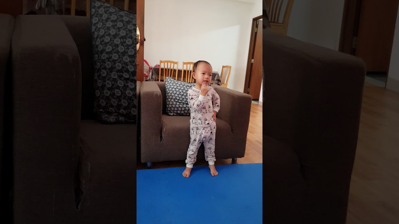 pinkfong dvd WE LOVE PINKFONG BABY SHARK - Sunita Pun