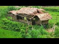 Full Video-180 Days Complete 2 Bamboo House For Foreign Pigeons &amp; Tibetan Pigs - Survival Technology