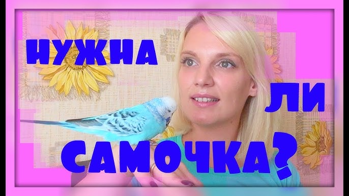 Қара шашты порножұлдыздың суреті