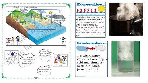 STATE - 4th std EVS Lesson - 6 Each Drop  (part - 1).