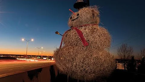 TUMBLEWEEDS (PASTOR GARY PRICE)