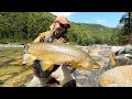 My biggest brown trout ever