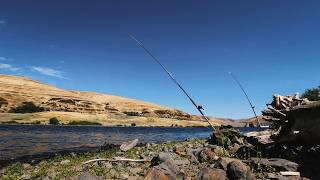 Summer Camping for Sturgeon on the Snake River | J4 Family Trip