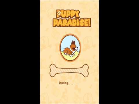 Puppy Paradise-Cute Dog