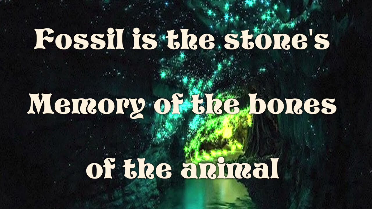 Rosalie Cunningham Fossil Song lyric video YouTube