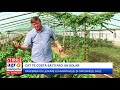 Cât costă să îți faci un solar de legume