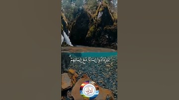Surah Al Fath | Verse 4 | Omar Hisham Al Arabi | سورة الفتح | عمر حشام الاعرابي | THE VISUAL QURAN