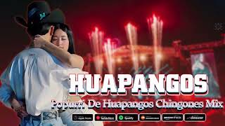 Mix de Huapangos 2024 ~ Popurri De Huapangos Chingones Mix ~ Huapangos Pa' Zapatear 2024