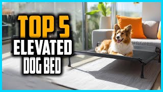 ✅Top 5 Best Elevated Dog Bed of 2025 ✅Top 5 Best Elevated Dog Bed of 2025