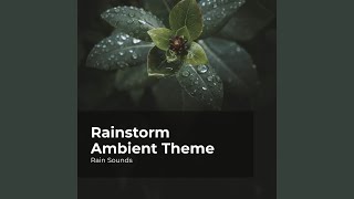Falling Rain Harmony