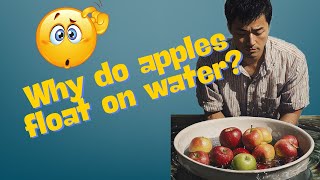 Why Do Apples Float 🍎